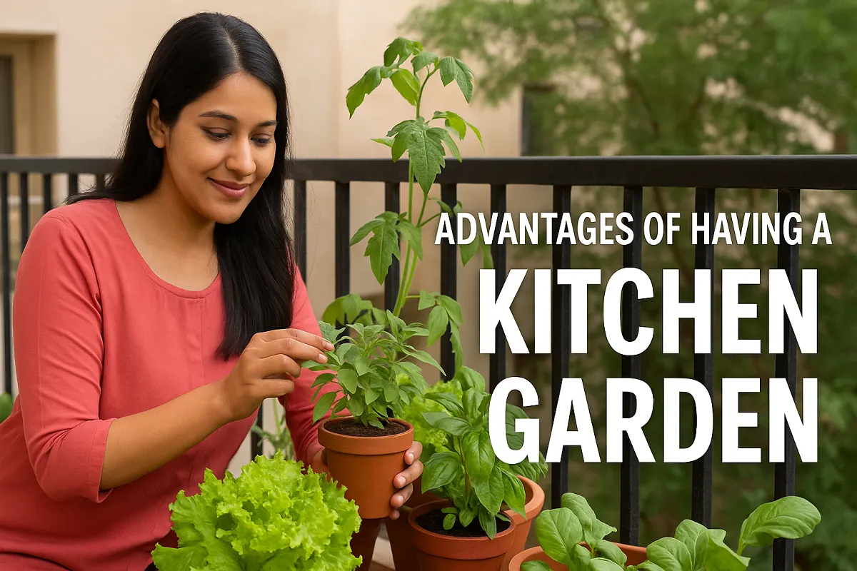 Advantages of Having a Kitchen Garden